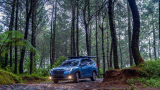 Forester-2