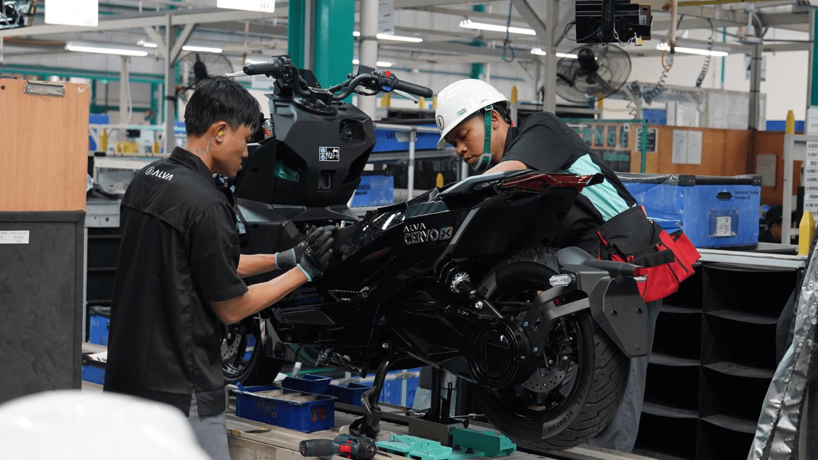 Harga Alva Cervo X