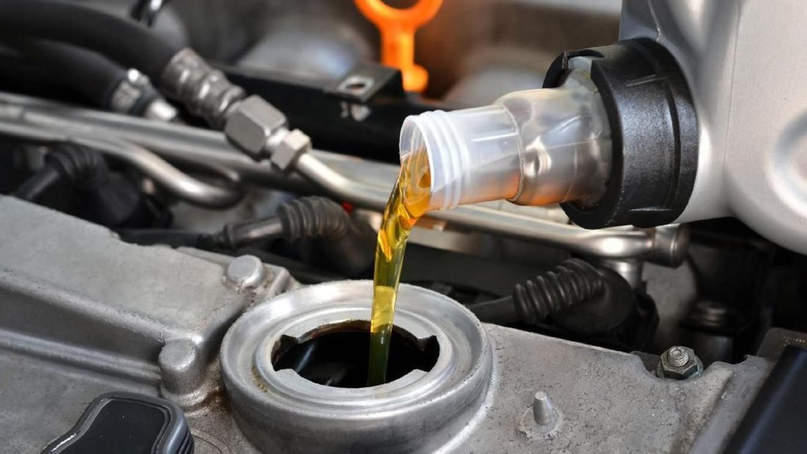 perbedaan oli gardan dan oli transmisi mobil