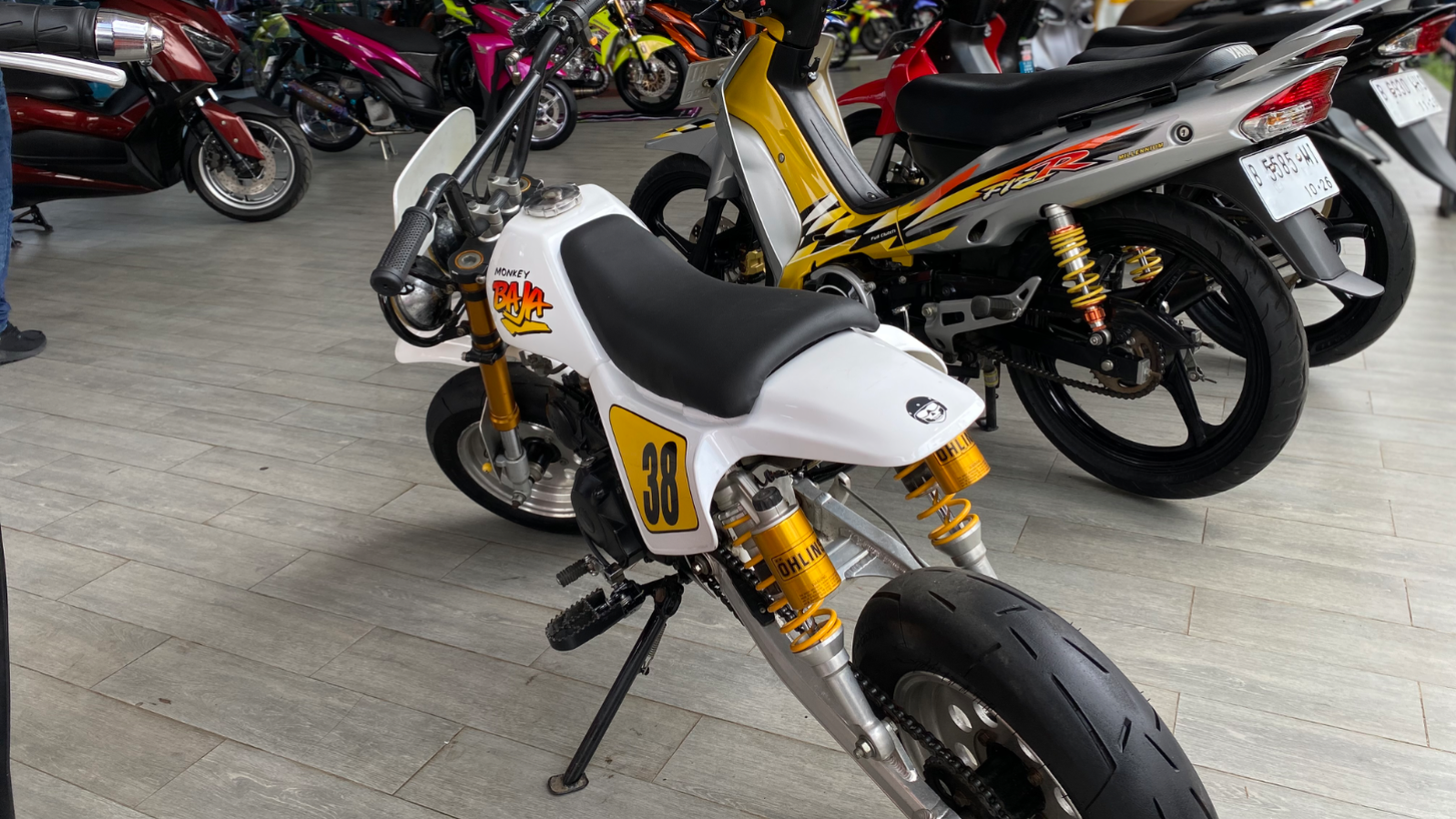 Maxdecal art party 2025