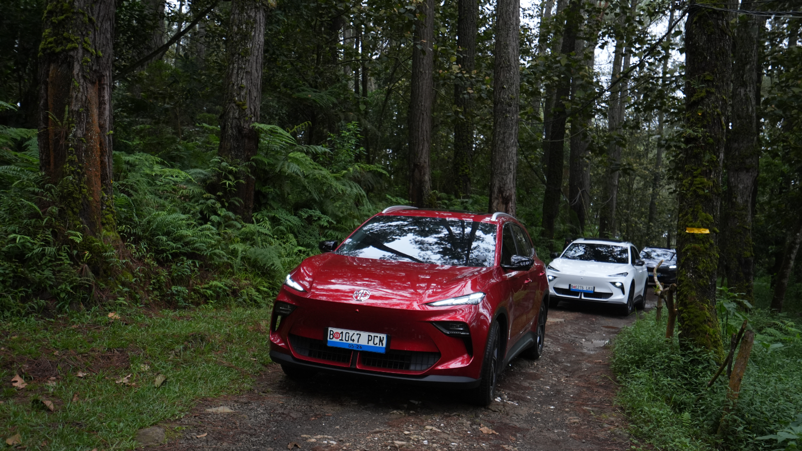 first drive mg s5 ev