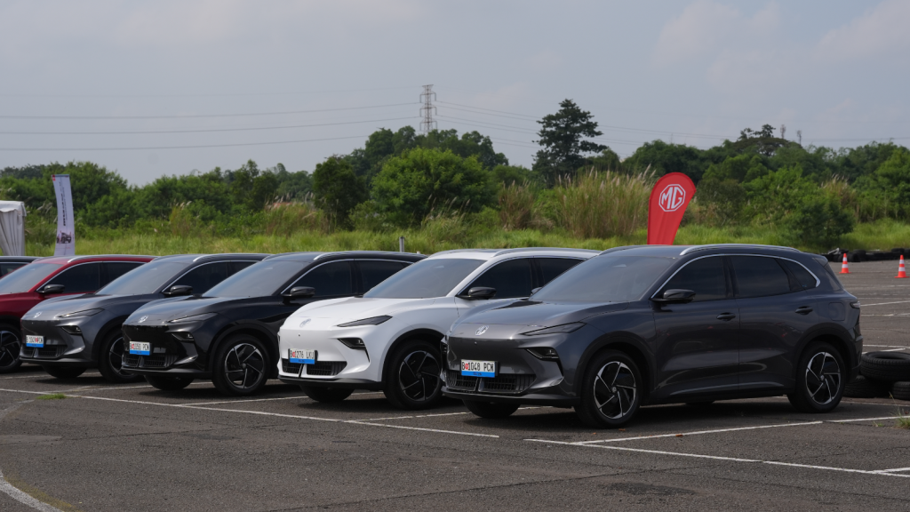 first drive mg s5 ev